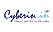 Cyberin Coupon August 2025