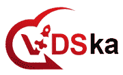 VDSka.ru Coupon August 2025