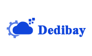 DediBay Coupon August 2025